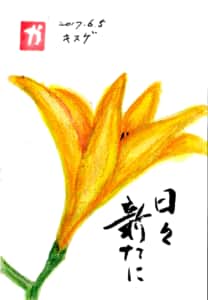 キスゲの花　〜日々新たに〜