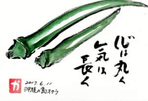 心は丸く、気は長く　〜沖縄の島オクラ〜