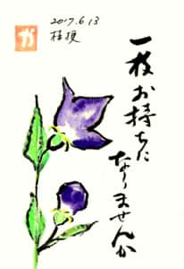 一枝お持ちになりませんか　桔梗