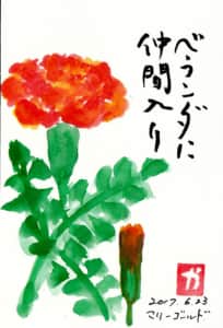ベランダに仲間入り　〜マリーゴールドの花〜