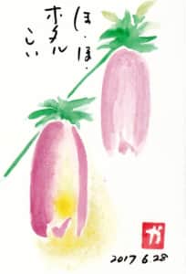 ほ、ほ、ホタルこい　〜ホタルブクロ〜
