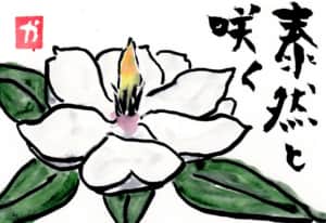 泰然と咲く花