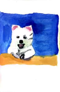 イラスト「スピッツの子犬」