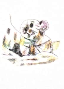 ナキウサギ