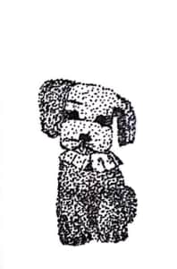 イラスト「点描・プードルのマリーちゃん」