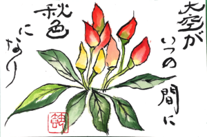 大空がいつの間に秋色になり ~とうがらし~