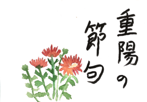 重陽の節句の小菊