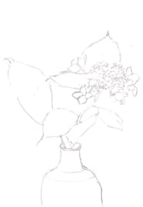 花瓶の紫陽花、一輪