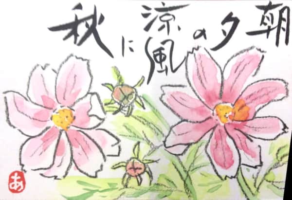 秋桜 絵手紙 交流ひろば てがみ倶楽部絵手紙 交流ひろば てがみ倶楽部