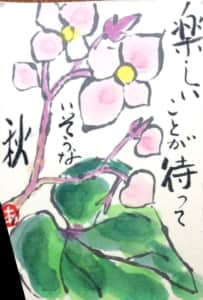 楽しいことが待っていそうな秋 〜シュウカイドウの花〜