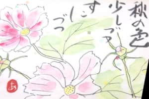 秋の色 少しづつ 少しづつ 〜コスモス〜