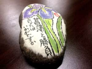 菖蒲と勝負 あなたはいかがですか　〜花菖蒲〜