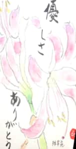 優しさありがとう 〜彼岸花〜