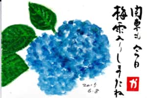 関東も今日、梅雨入りしましたね　〜あじさい〜