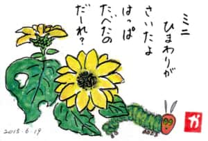 ひまわりがさいたよ はっぱたべたのだ〜れ？