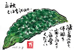 立秋とは言うものの…猛暑の日々、体調を崩さぬようご自愛ください 〜ゴーヤー〜