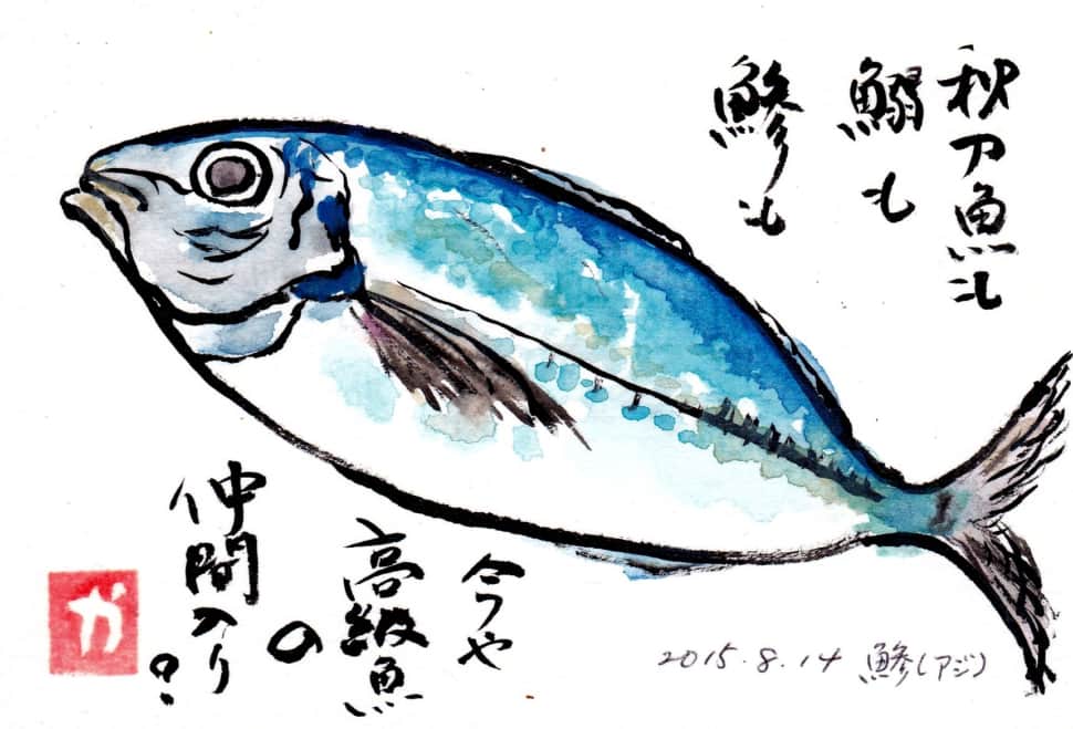 秋刀魚も鰯も鯵も、今や高級魚の仲間入り？