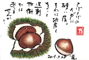 とげとげのイガに硬い皮。それに渋皮とちょっと過剰防衛ではありませんか？