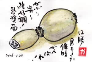 12勝見えてた優勝 がんばれ！ がぶり寄り絶好調！琴奨菊　〜れんこん〜