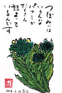 つぼみには いろんなパワーがたくさん詰まっているんです　〜菜の花〜