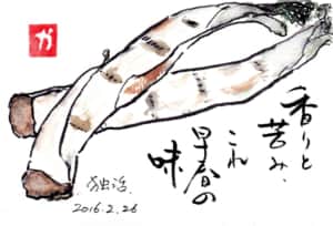 香りと苦味、これ早春の味 〜独活〜