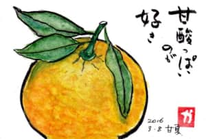 甘酸っぱいのが好き 〜甘夏〜