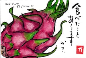 食べたことありますか？　〜ドラゴンフルーツ〜