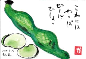 これにはやっぱビールでしょ〜そら豆〜