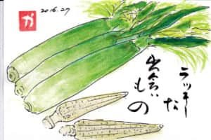 ラッキーな出会いもの〜トウモロコシ〜