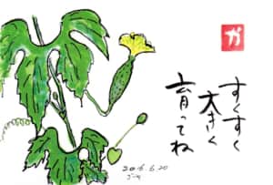 すくすく大きく育ってね〜ゴーヤー〜