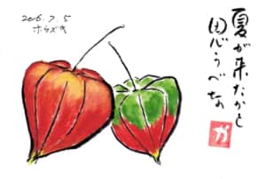 夏が来たかと思うべな〜ホオズキ〜