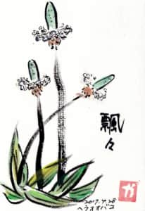 飄々 ヘラオオバコ