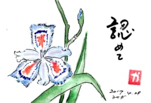 認めて 〜シャガ〜