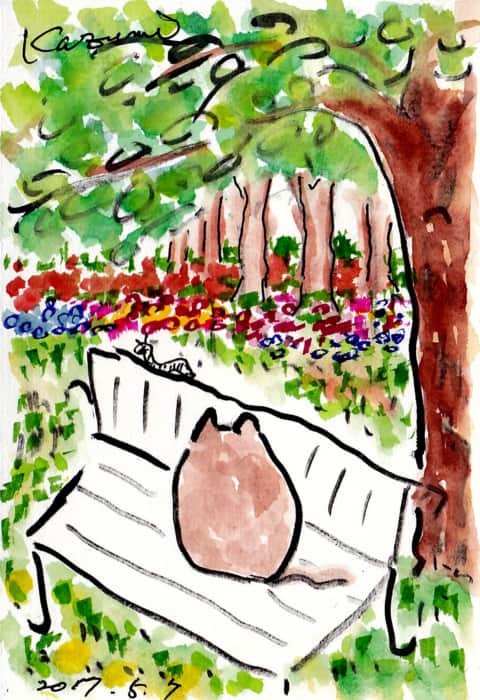 ベンチに猫