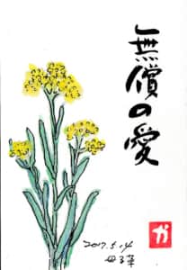 無償の愛　〜母子草〜