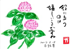 役に立つのは嬉しいことですね　〜赤詰草〜
