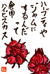 ハーブティーやジャムにするんだって 食用ハイビスカス