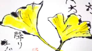 四方八方降り注ぐ 銀杏