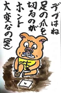 デブはね 足の爪を切るのがホント大変なの（笑）