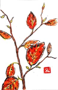 秋から冬を彩る枯れ葉