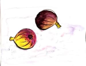 ２つの、いちじく