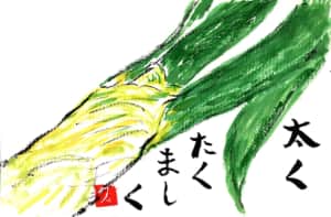太くたくましく 〜長ねぎ〜