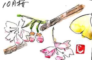 10月桜と銀杏の葉