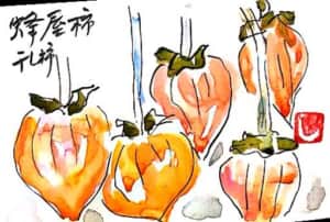 蜂屋柿の干し柿