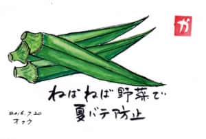 ネバネバ野菜で夏バテ防止〜オクラ〜