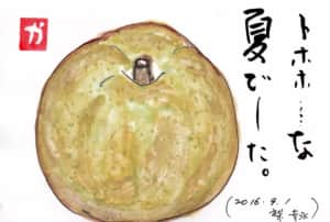トホホ・・・な夏でした〜幸水梨〜
