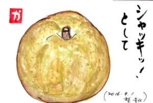 シャキッ！として〜幸水梨〜