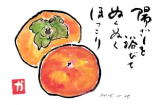 陽ざしを浴びてぬくぬくほっこり〜柿〜