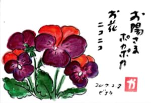 お日様ポカポカお花ニコニコ〜ビオラ〜