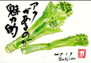 アクがあるのが魅力的〜菜の花のつぼみ〜